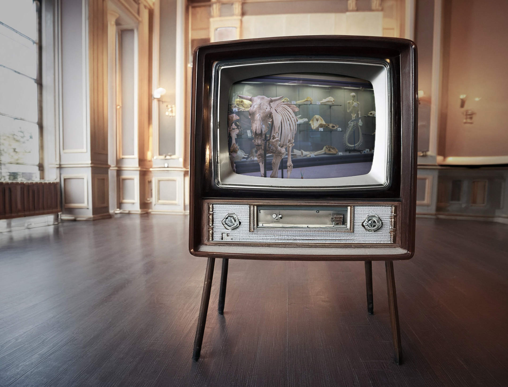 Video GALLERY